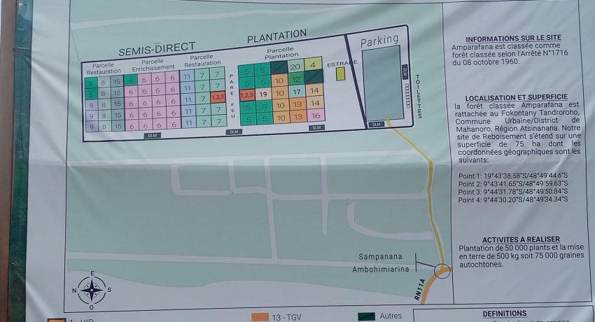 Reboisement 2022 à Amparafana Mahanoro